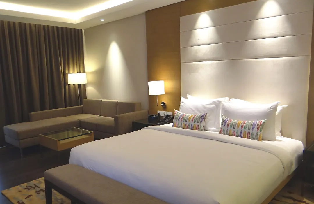 Feathers- A Radha Hotel, Chennai-1